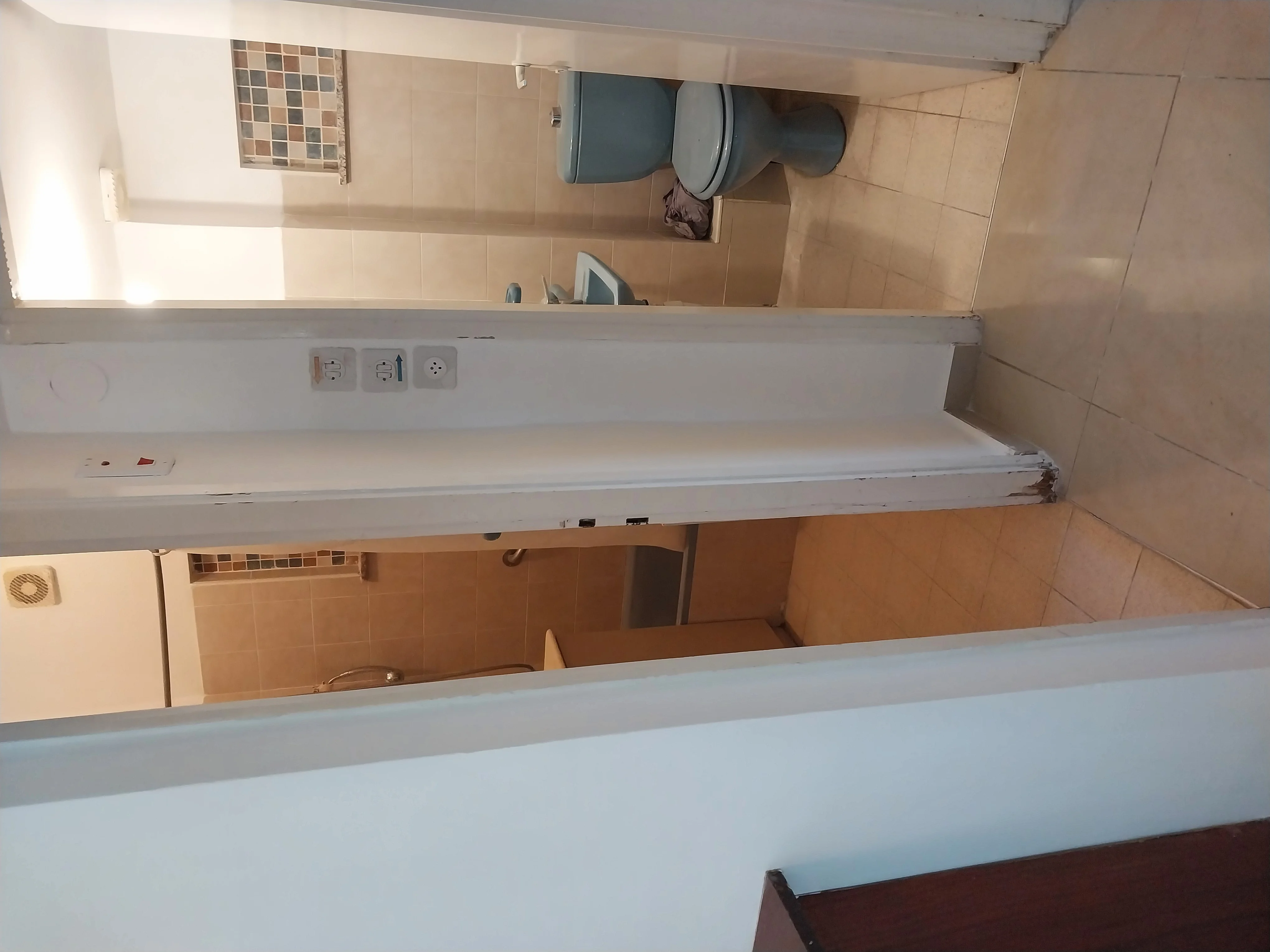 פרויקט צביעת פנים - 04 פברואר 2025