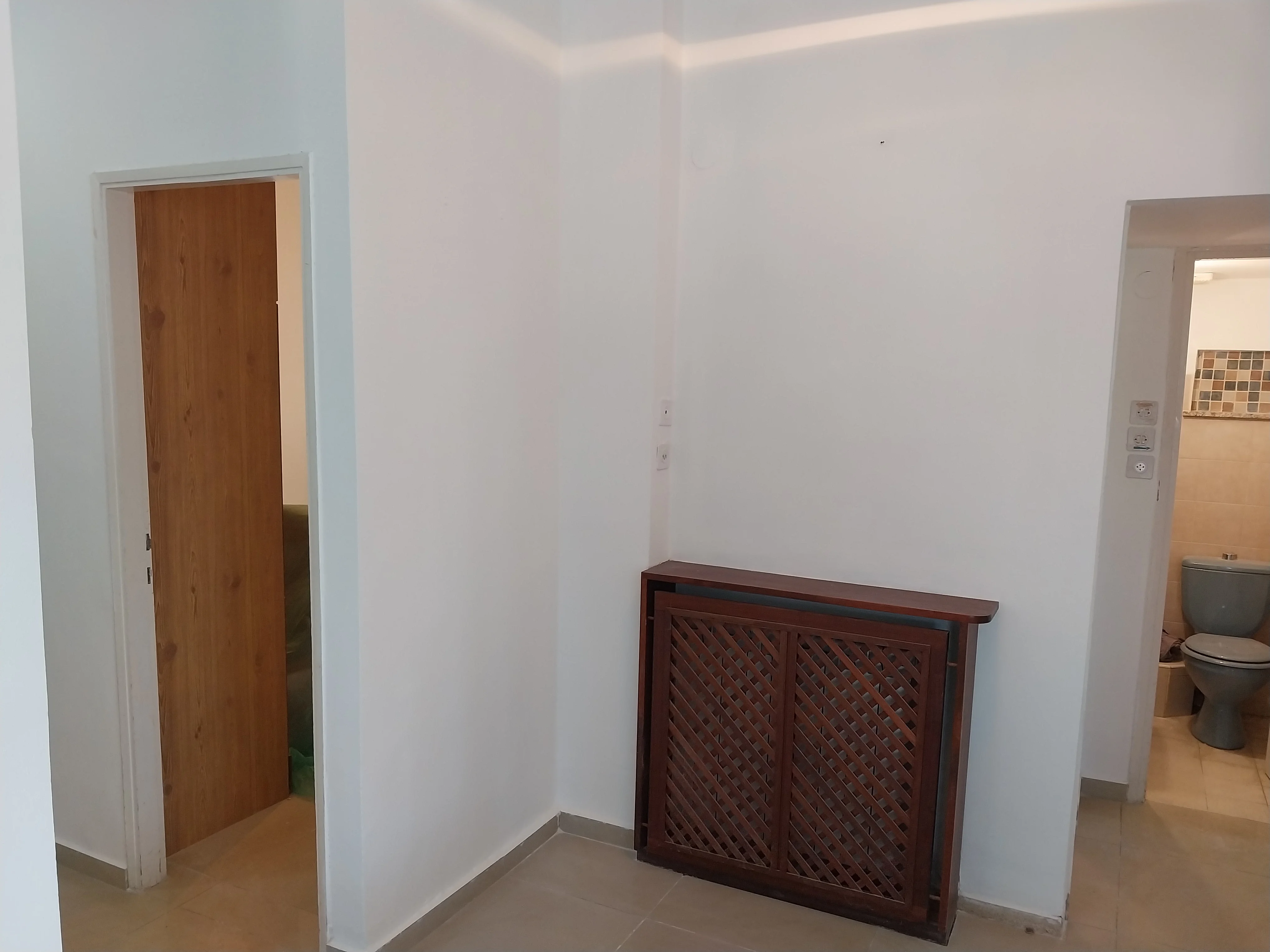 פרויקט צביעת פנים - 04 פברואר 2025