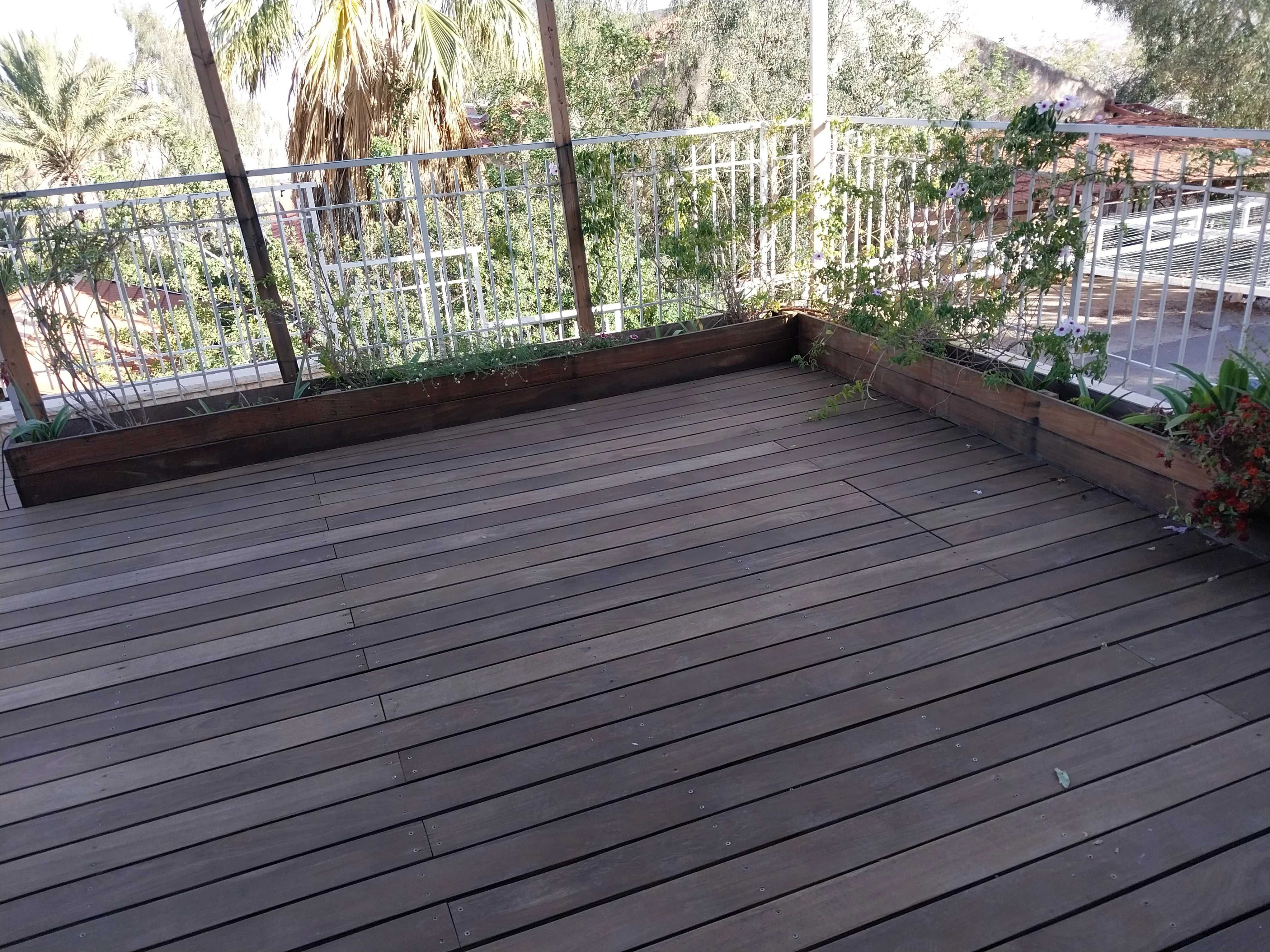 פרויקט צביעת פנים - 20 מאי 2025