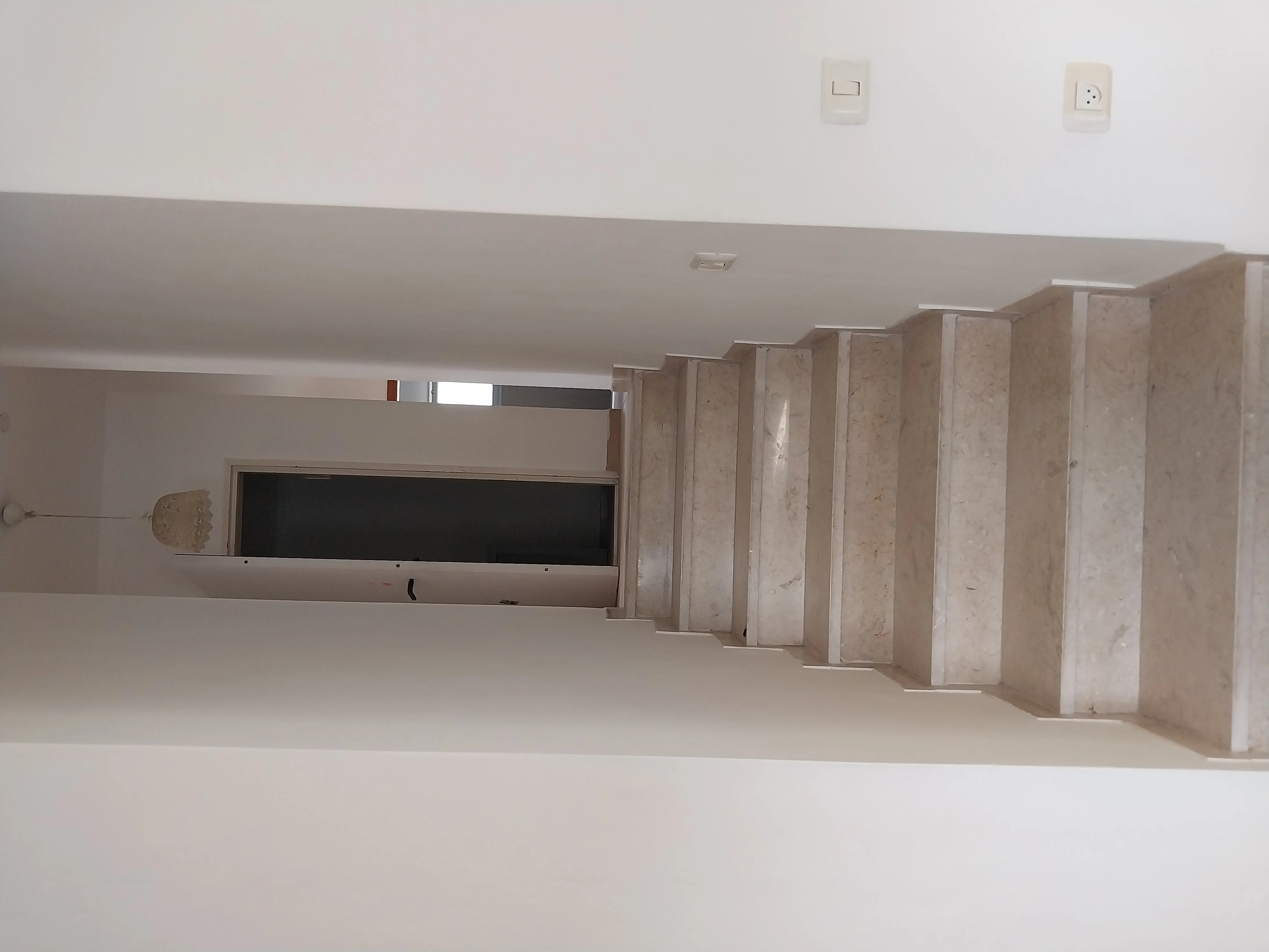 פרויקט צביעת פנים - 13 אוגוסט 2025