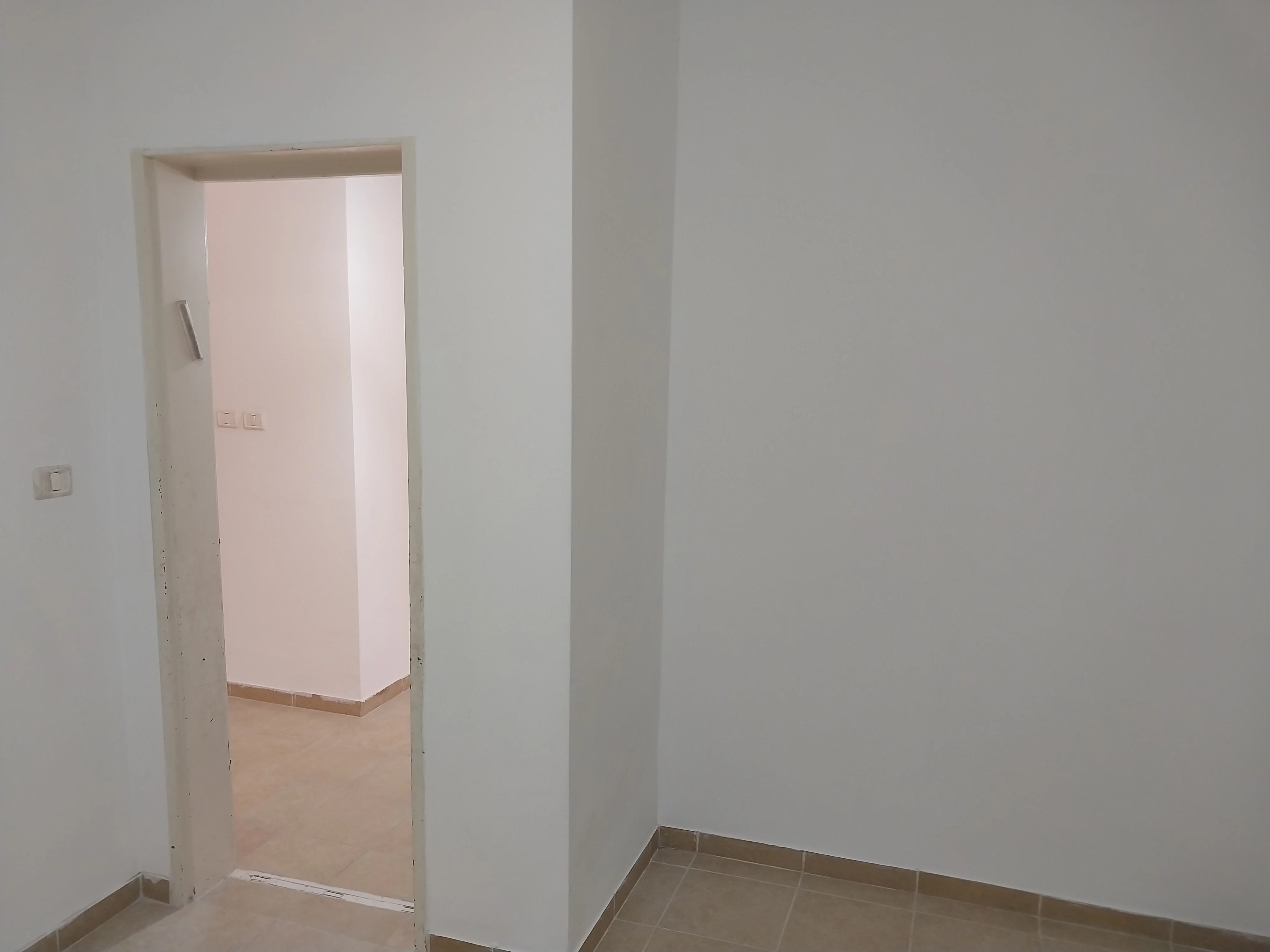 פרויקט צביעת פנים - 13 אוגוסט 2025